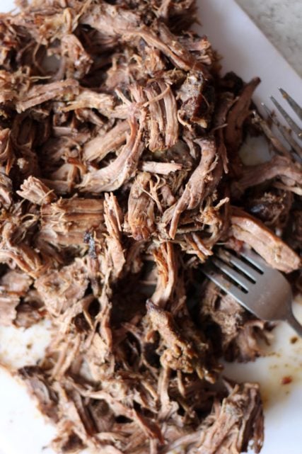 IMG_8820 slow cooker shredded beef