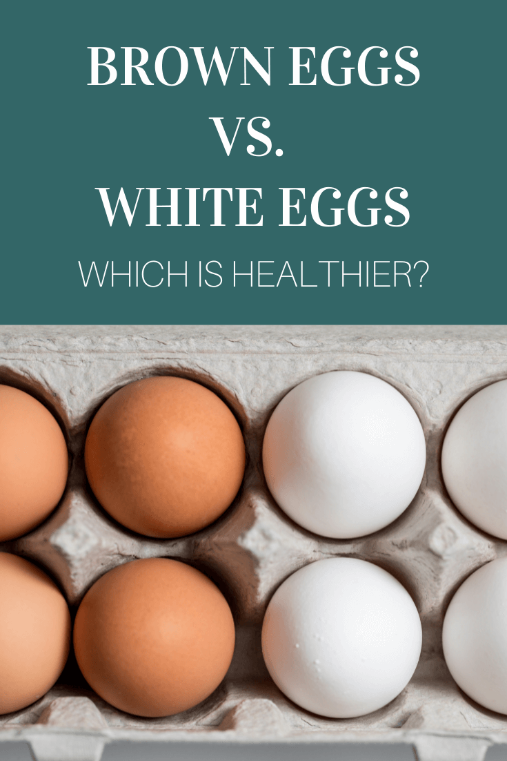 Brown Eggs vs. White Eggs Which is Healthier? Stephanie Kay Nutrition