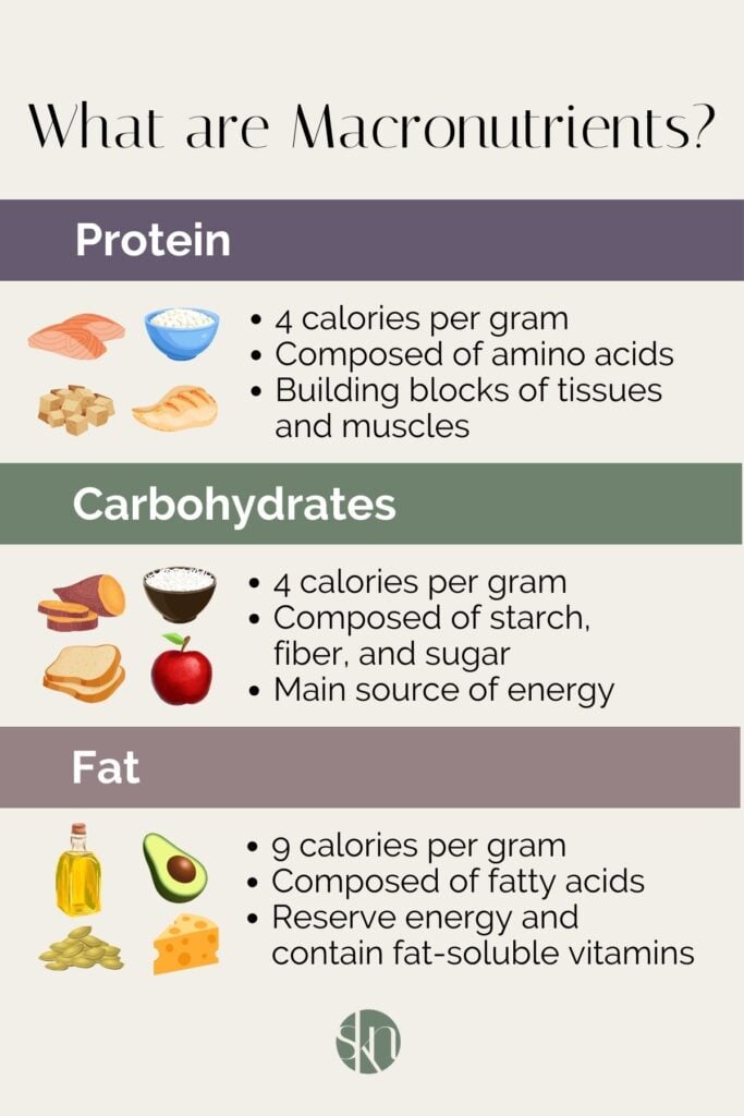 Macronutrients 101: The Beginner's Guide - Stephanie Kay Nutrition