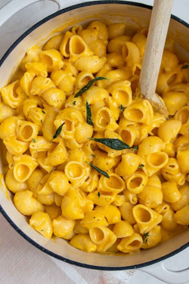 Butternut Squash Mac and Cheese Stephanie Kay Nutrition