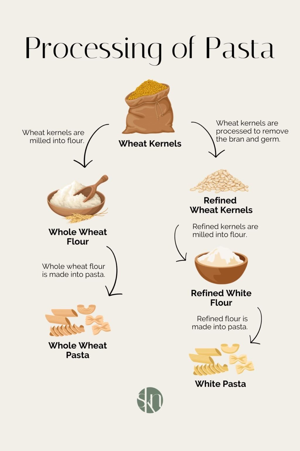 White Pasta vs. Whole Wheat Pasta Which is Healthier? Stephanie Kay