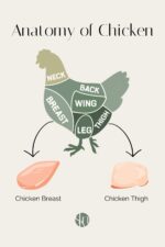 Chicken Breast vs. Chicken Thigh: Which is Healthier? - Stephanie Kay