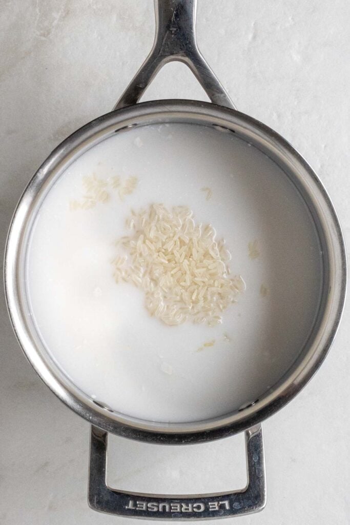 Stainless steel pot with raw white rice, coconut milk, water, and salt.
