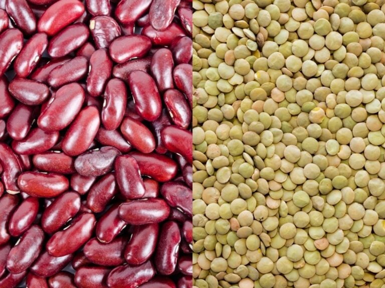 Grid of two images with a close up of raw red kidney beans and raw green lentils.