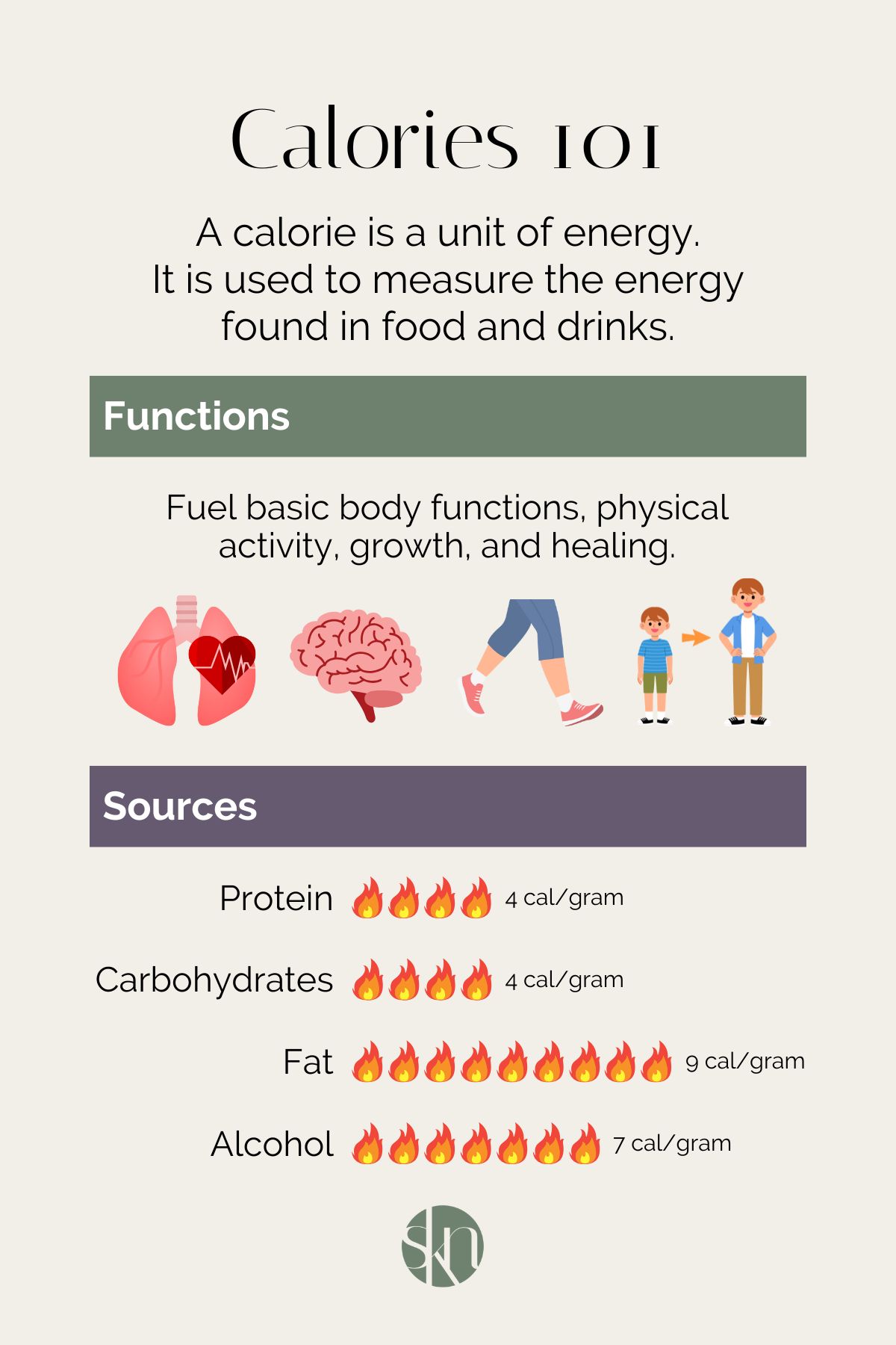 Infographic on calories 101; definition, functions, and sources.