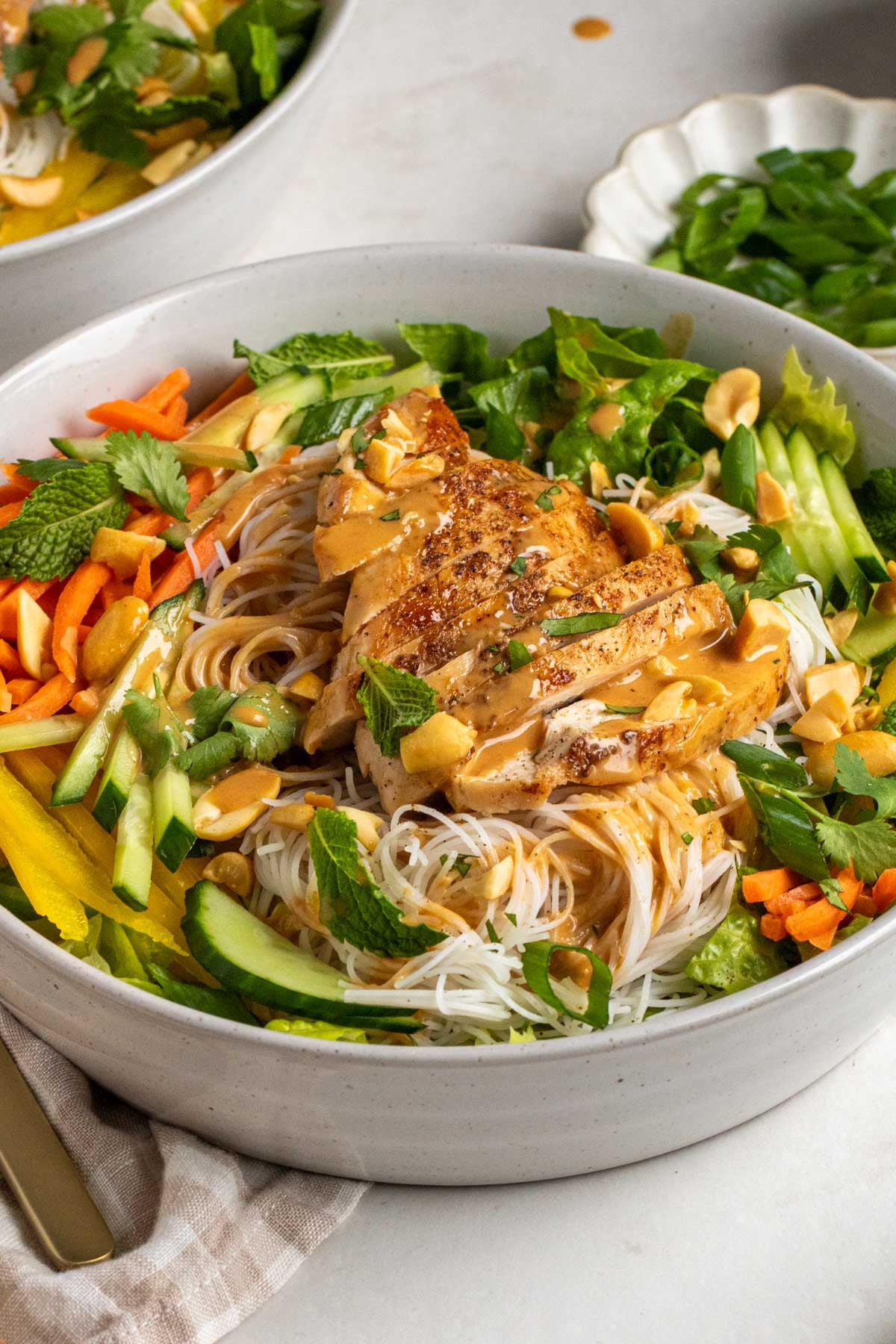 Close up of a chicken spring roll bowl.